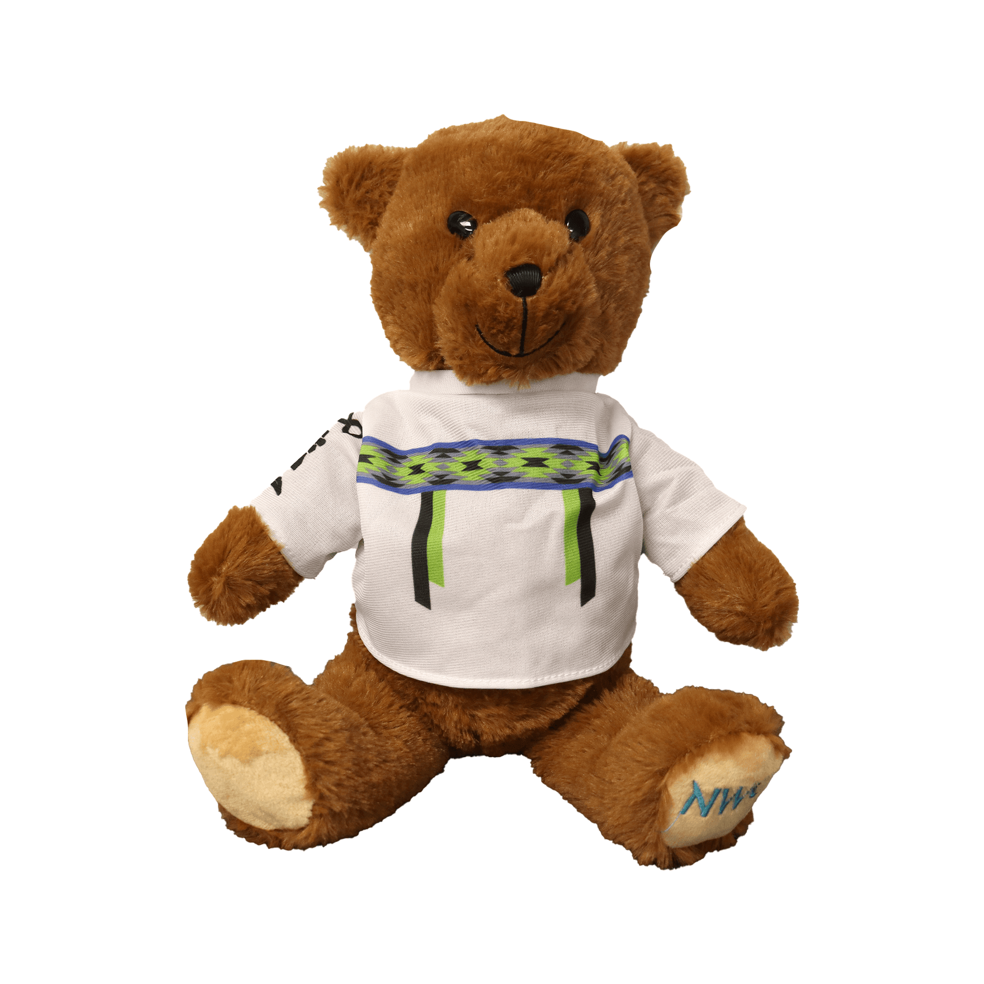 Northy Bear - Support Indigenous Youth Initiatives – Indigenous