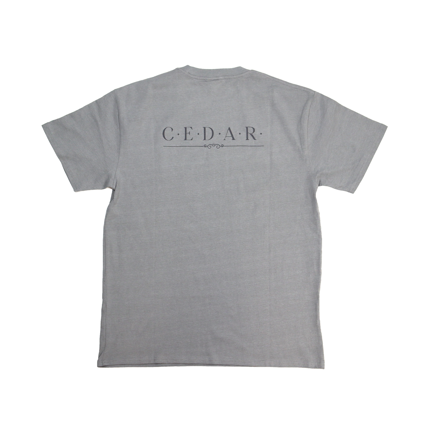 Cedar Medicine Tee