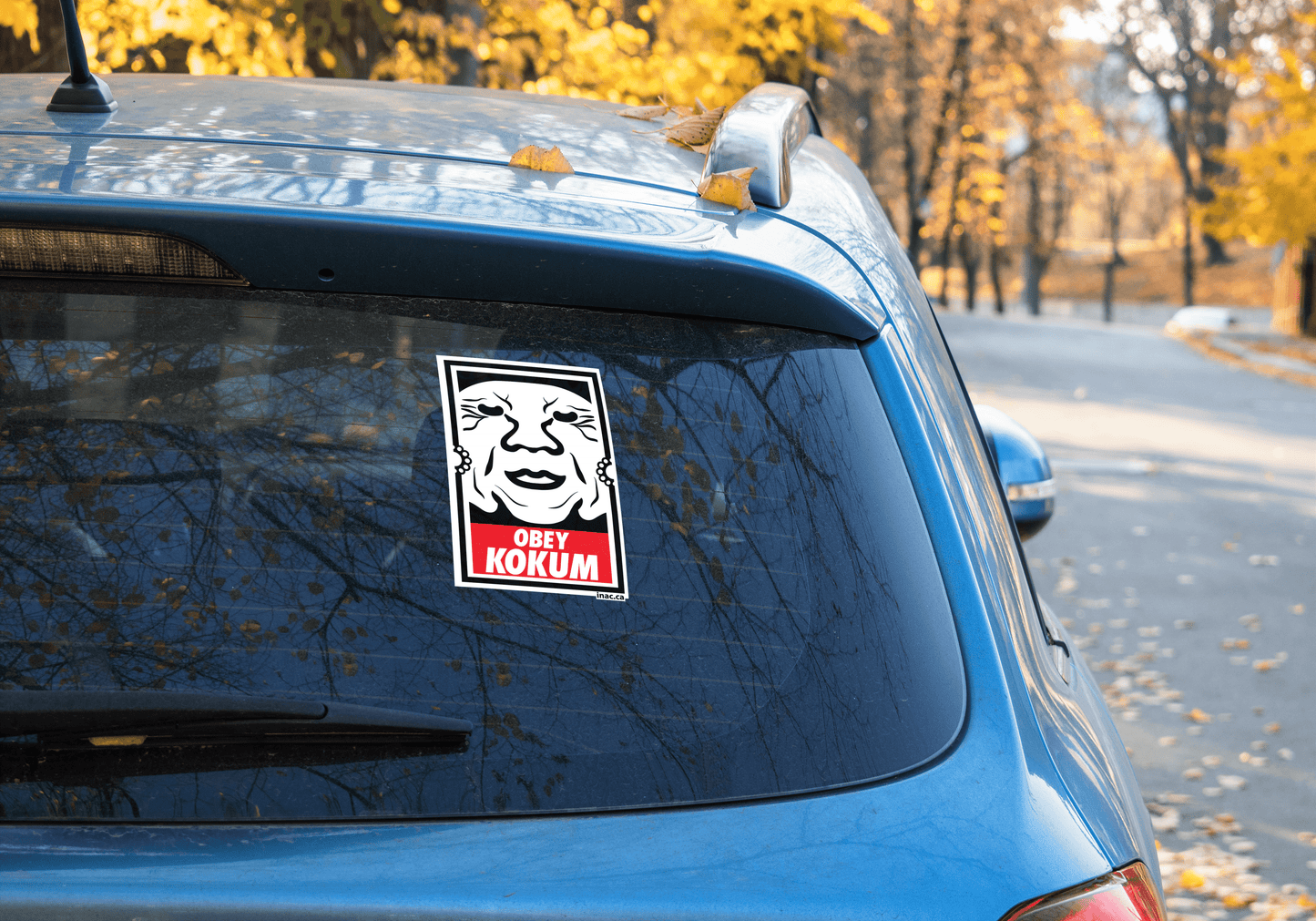 Indigenous Car Window Decals